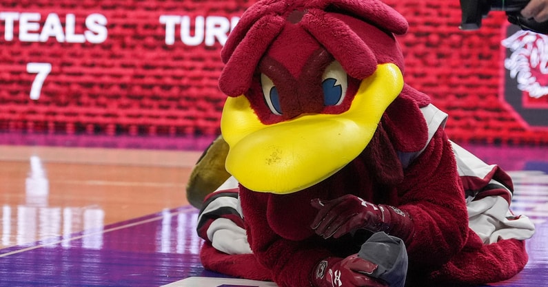 South Carolina Gamecocks mascot Cocky during the second half against the LSU Lady Tigers at Bon Secours Wellness Arena. Mandatory Credit: Jim Dedmon-Imagn Images
