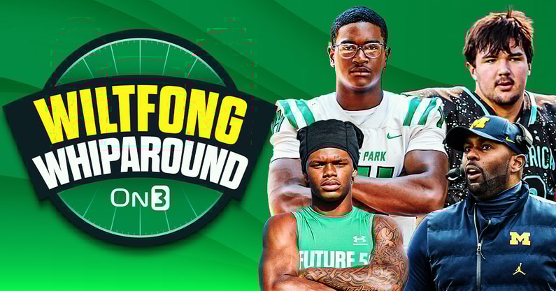 Wiltfong-Whiparound copy