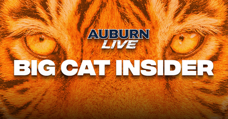 big_cat_insider_720