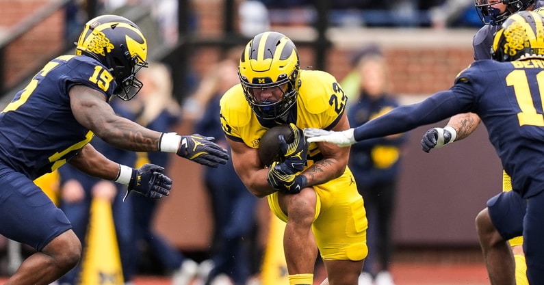 Michigan Wolverines football running back Jordan Marshall at the 2025 spring game. (Photo by Junfu Han / USA TODAY NETWORK via Imagn Images)