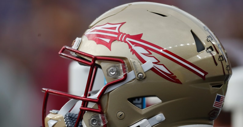 florida state helmet d'nas white