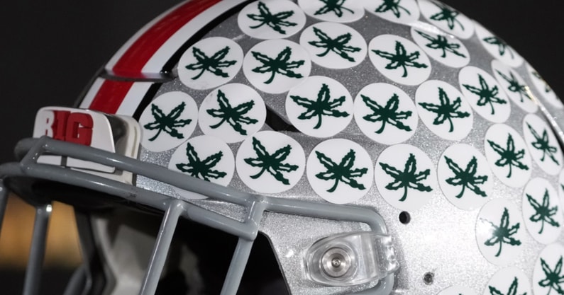 Ohio State Helmet