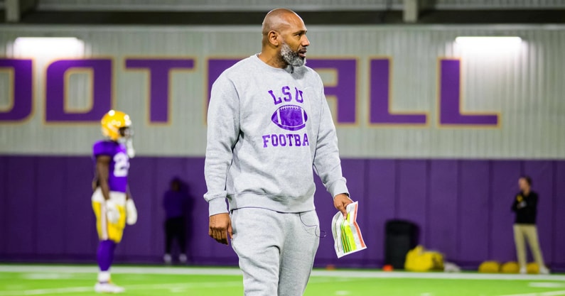 Corey Raymond LSU