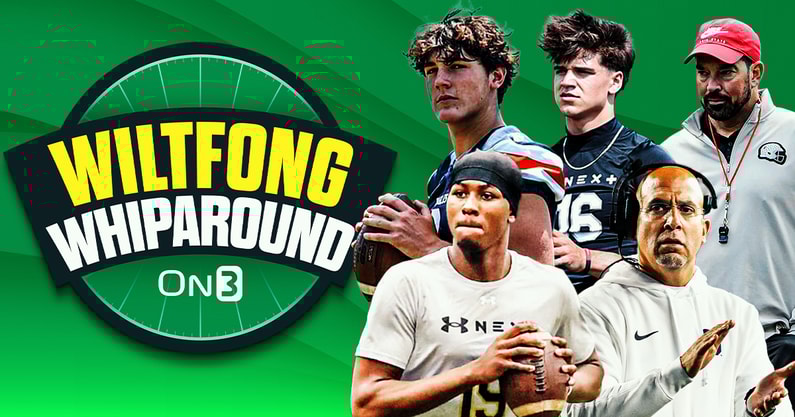 Wiltfong-Whiparound copy (2)