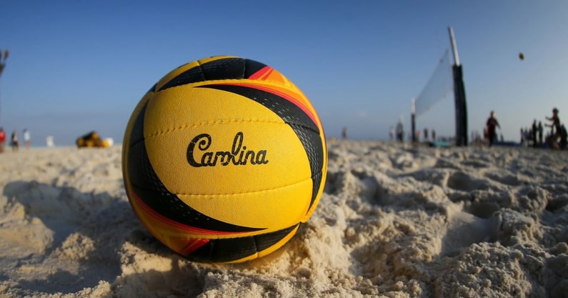 south carolina gamecocks volleyball