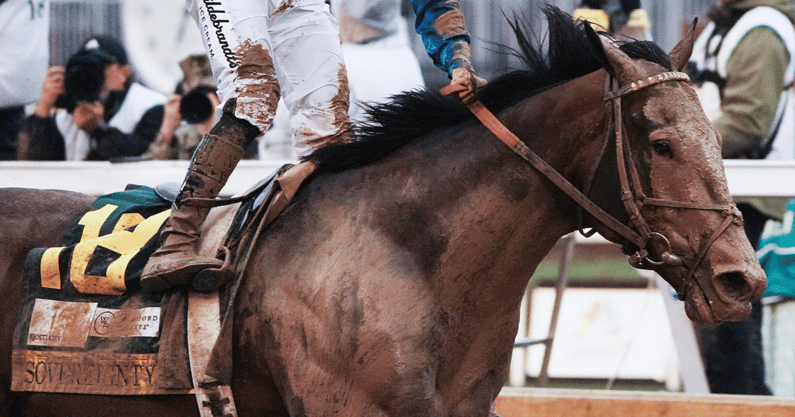 Sovereignty (151st Kentucky Derby)