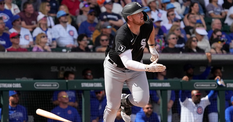 Chicago White Sox 1B Tim Elko