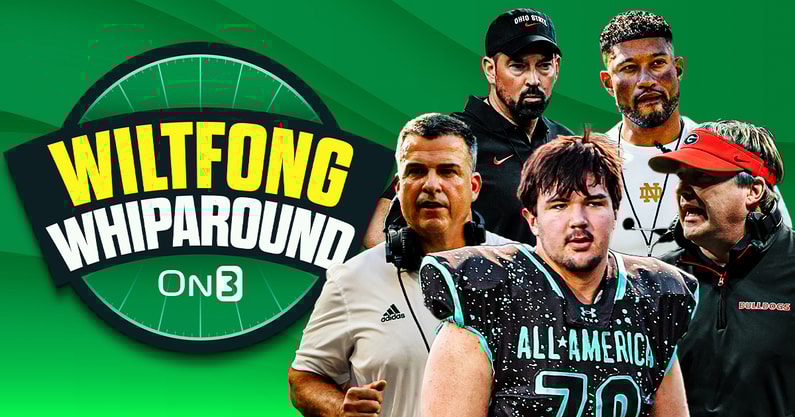 Wiltfong-Whiparound copy (3)