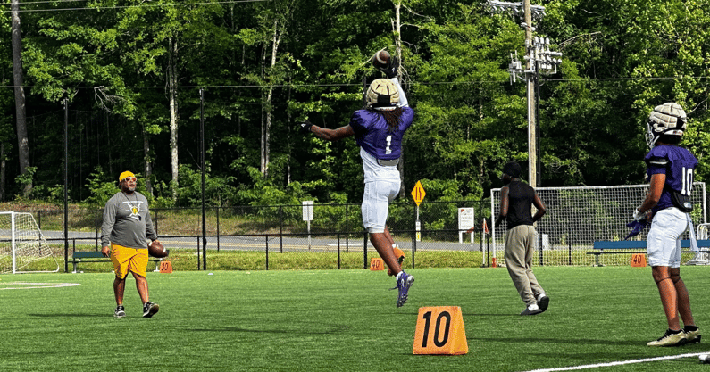 south carolina gamecocks db target tamarion watkins