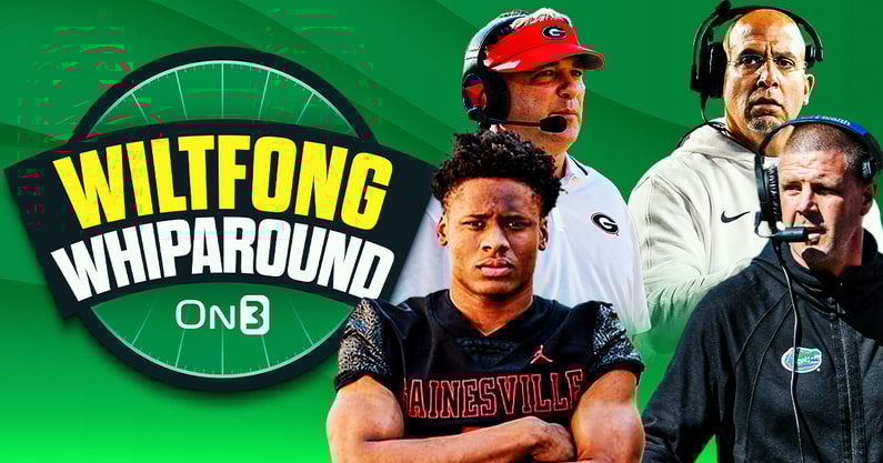 Wiltfong--Whiparound (2)