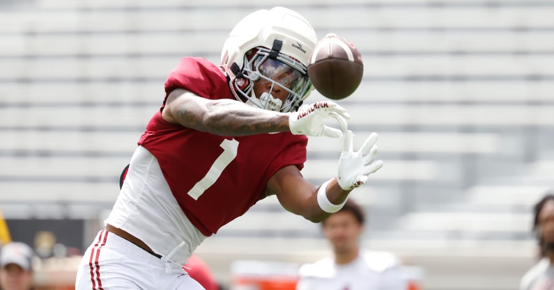 Alabama WR Isaiah Horton