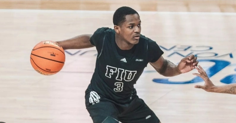 Asthon Williamson