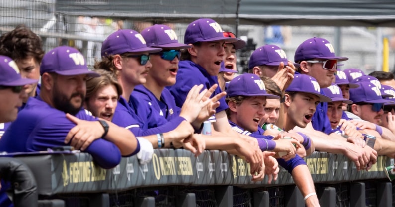 Washington Huskies