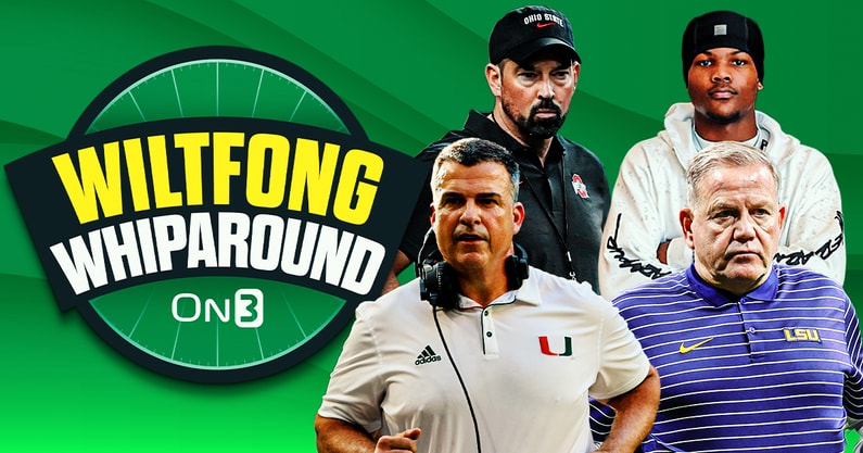 Wiltfong--Whiparound (3)