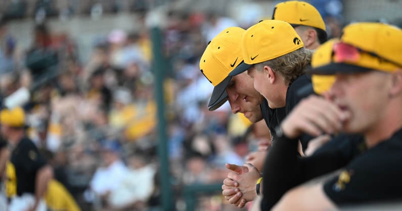 What are the biggest questions for the Iowa Baseball team going into the offseason. (Photo by Dennis Scheidt)