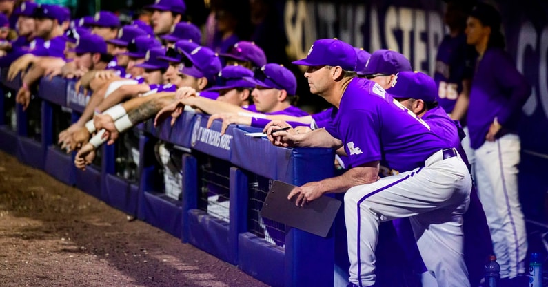 Jay Johnson LSU