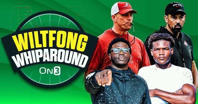 Wiltfong-Whiparound copy (6)