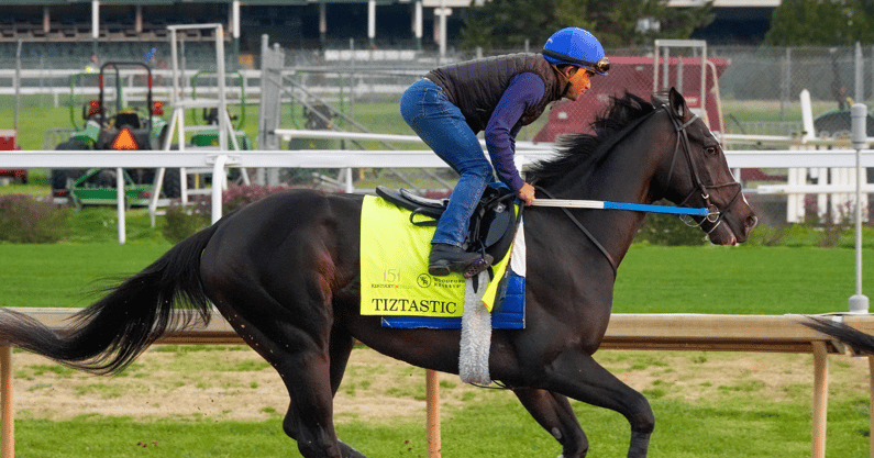 Tiztastic was the winner of the 2025 Louisiana Derby at Fair Grounds, via Michael Clevenger:Courier Journal : USA TODAY NETWORK via Imagn Images