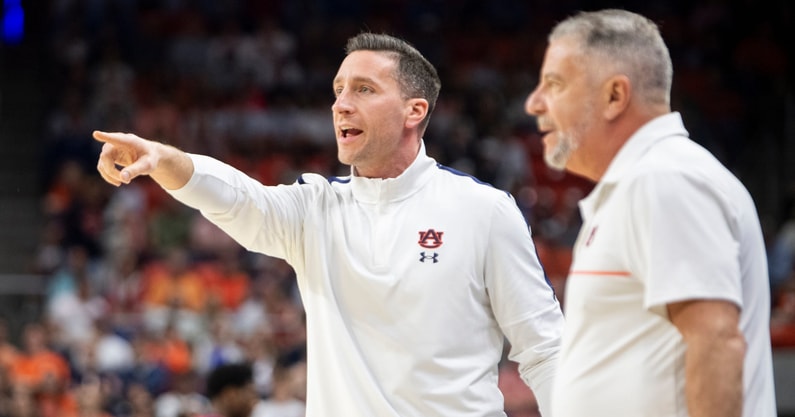 steve pearl bruce