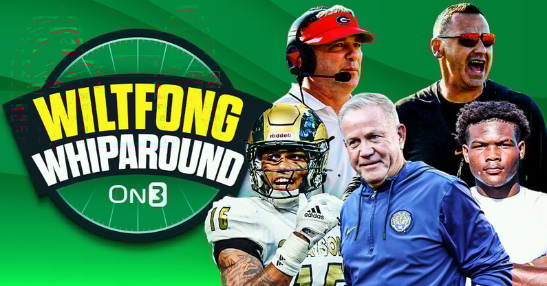 Wiltfong--Whiparound (4)