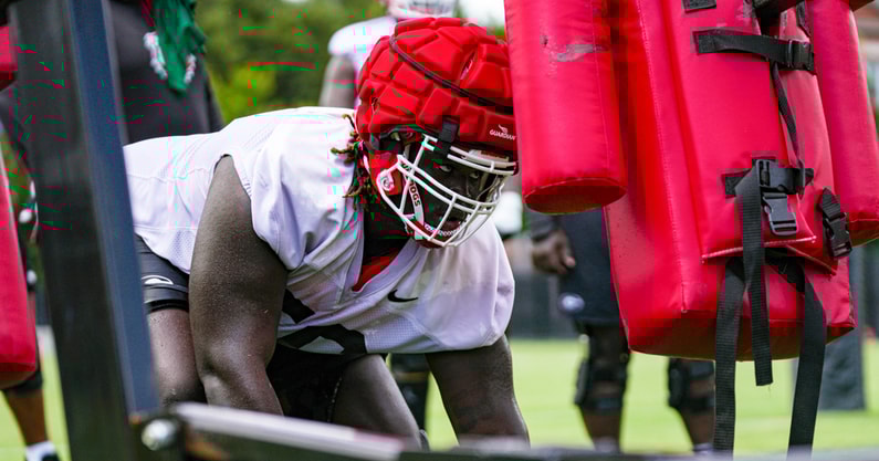 Nasir Johnson Georgia
