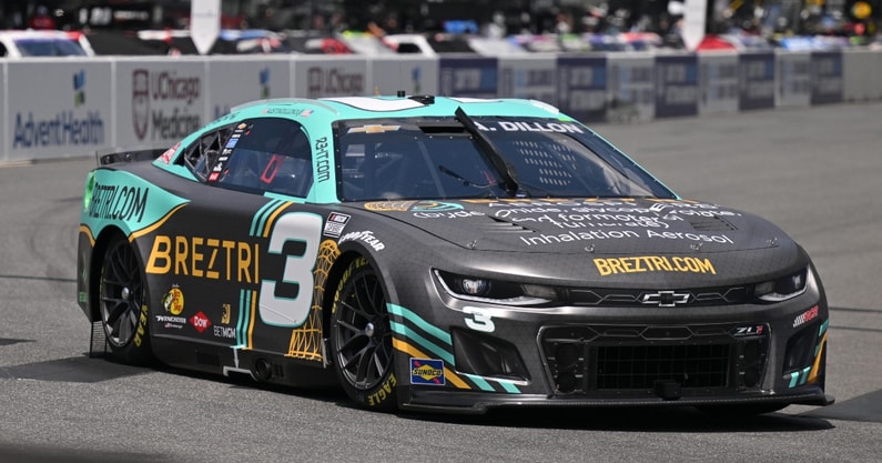 Austin Dillon (6)
