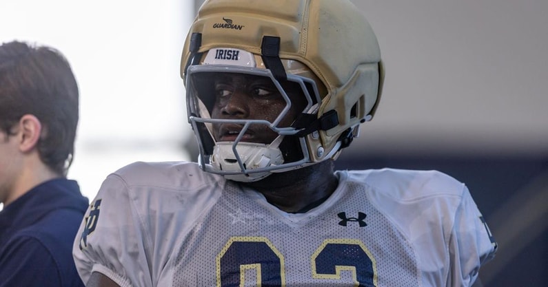 Notre Dame defensive lineman Jared Dawson
