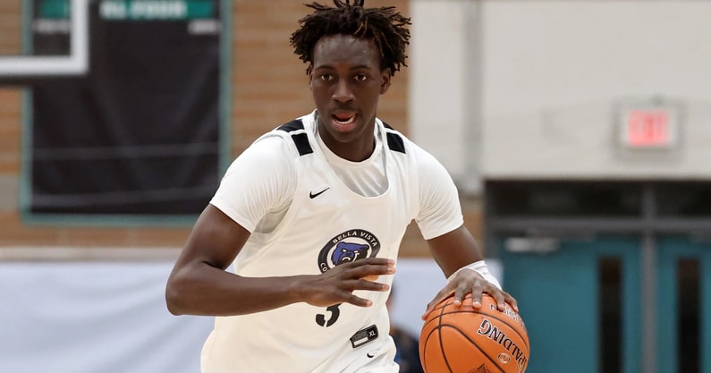CIA Bella Vista (AZ) forward Aliou Dioum