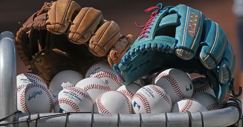 baseball generic jackson reitz