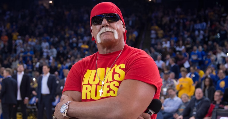 hulk hogan
