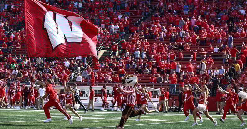 Wisconsin Badgers Flag