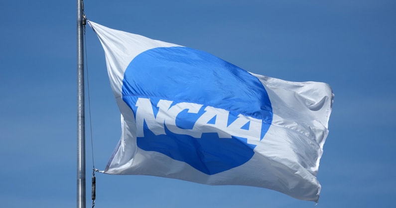 ncaa college football transfer portal