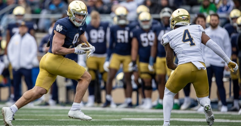 Notre Dame tight end Eli Raridon