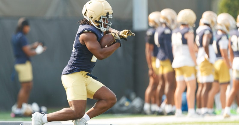 Notre Dame running back Kedren Young