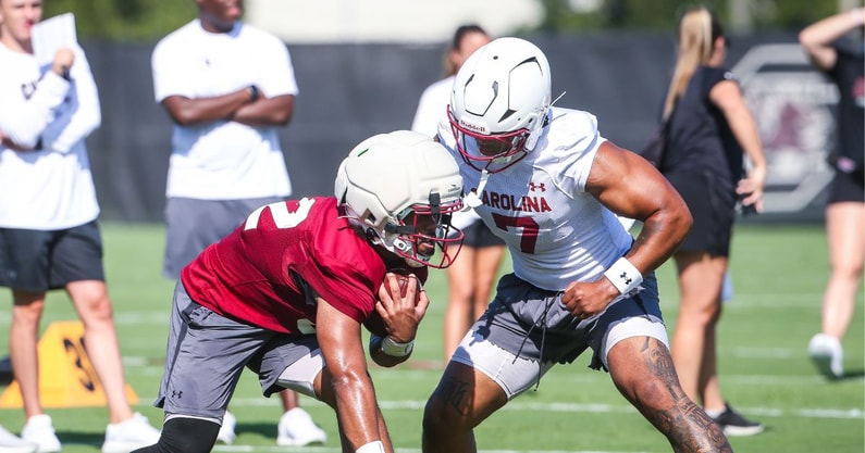 south carolina gamecocks shawn murphy