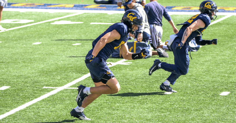 Cal receiver Mark Hamper
