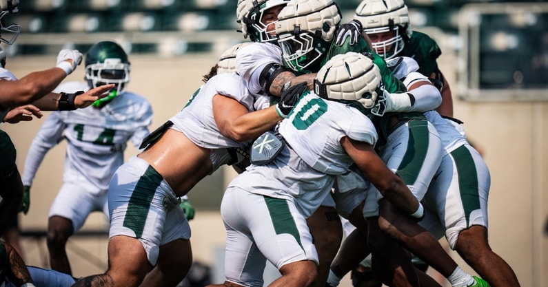 defense Michigan State