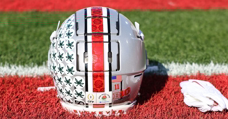 Ohio-State-Buckeyes-Helmet-by-Birm