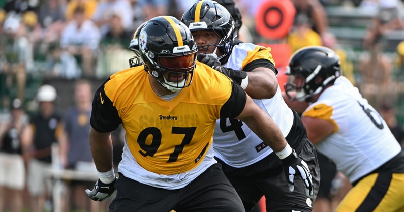 Cam Heyward (2)