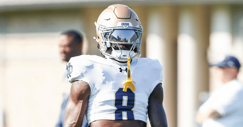Notre Dame safety Adon Shuler