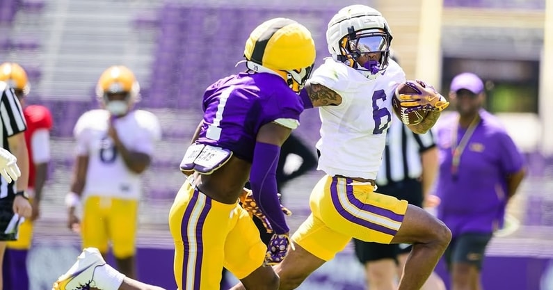 Barion Brown LSU