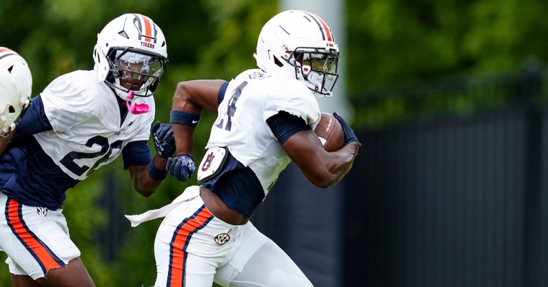 Rayshawn Pleasant (Photo by Auburn Athletics)