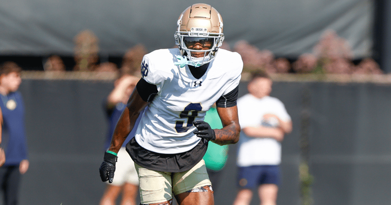 notre dame safety tae johnson
