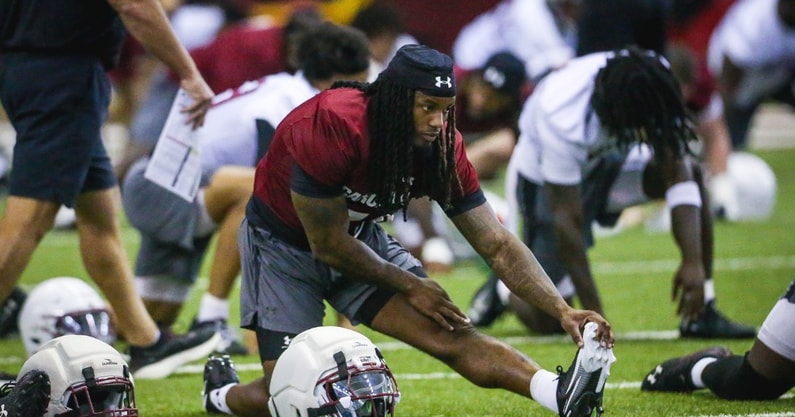 south carolina gamecocks running back rahsul faison