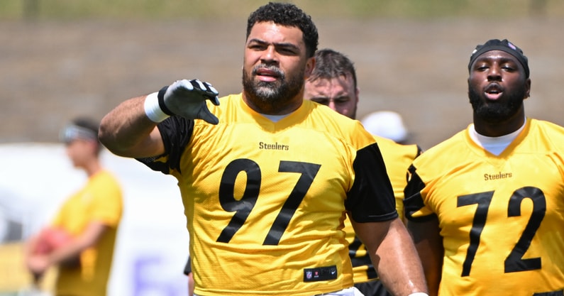 cam heyward