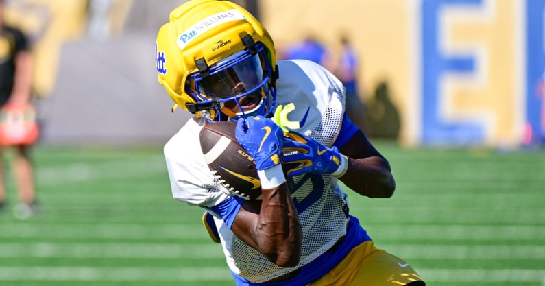 RaphaelWilliams