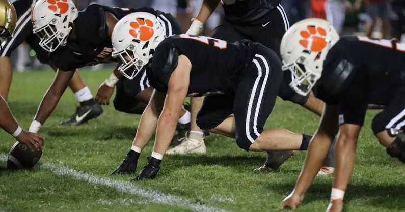 Kettle Run cougars