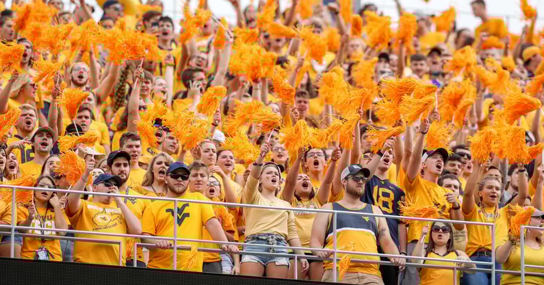 West Virginia Mountaineer fans cheer during the game