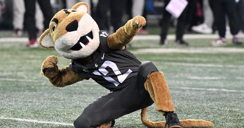 Washington State Cougars football mascot
