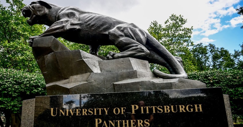 Pittfb3